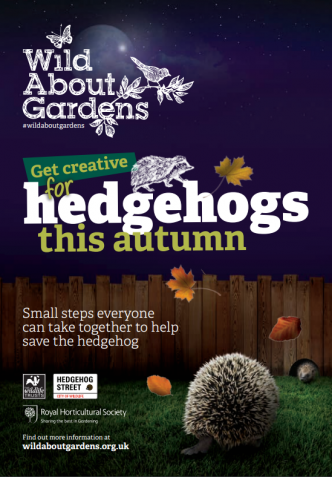 Hedgehog booklet front cover