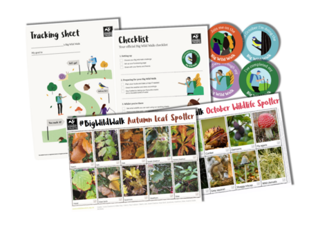 Big Wild Walk fundraising pack 2021