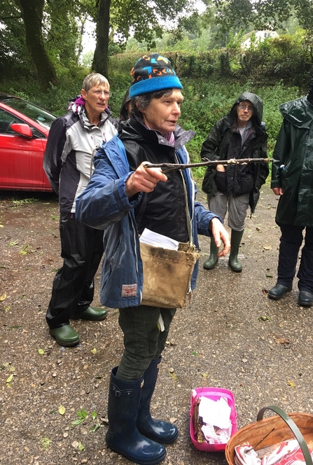 Beverley Rhodes at Fungal Foray