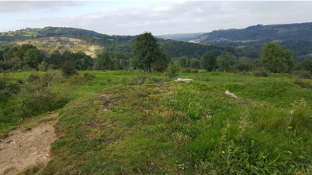 Crowdfunder Rose End Meadow appeal