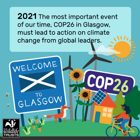 COP26 infographic