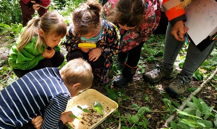 Forest school
