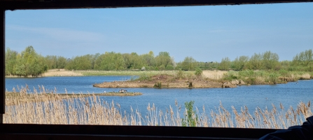 Willington Wetlands