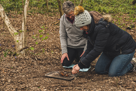 Mapperley Wood event