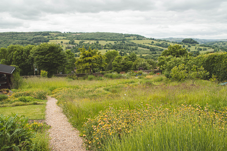 Chris Ragg's Garden