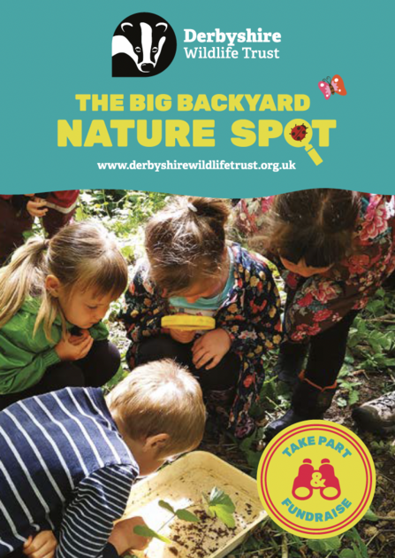Big Backyard Nature Spot booklet