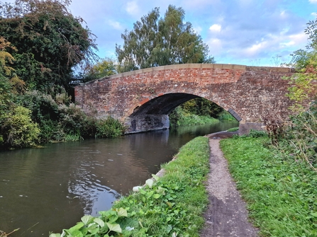 Canal towpath to Shardlow: Colette Cheney