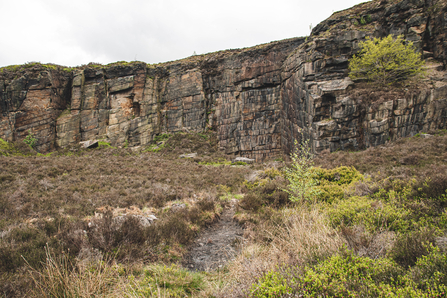 Holybank Quarry Tintwistle