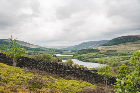 Holybank Quarry Tintwistle