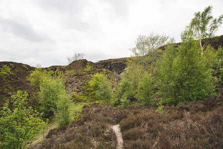 Holybank Quarry Tintwistle