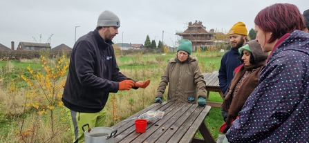 SEAG seed collection