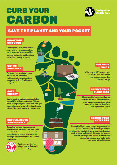 Infographic Curb Your Carbon