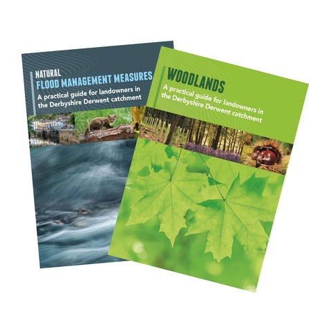 Derwent Connections Handbooks