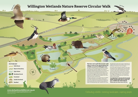 Willington Wetlands Nature Reserve Circular Walk map