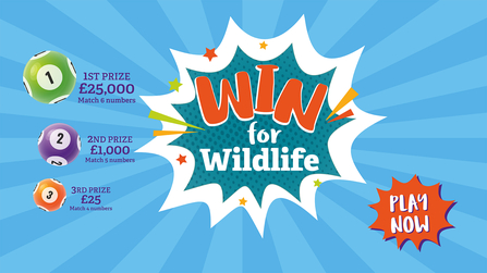 win for wildlife lottery play now