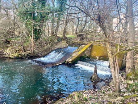 Ecclesbourne River Weir