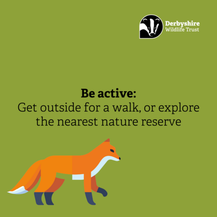 get outside for a walk or explore the nearest nature reserve