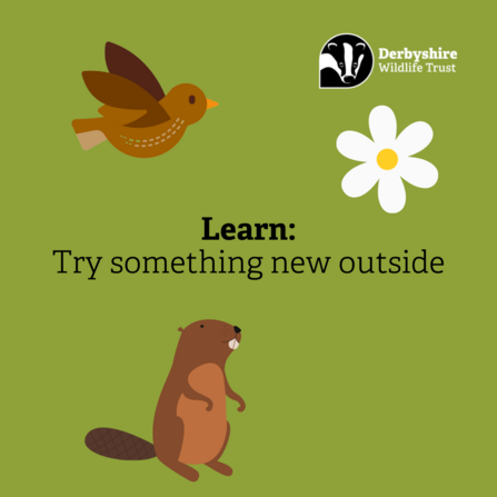 Try something new outside and let nature be your teacher