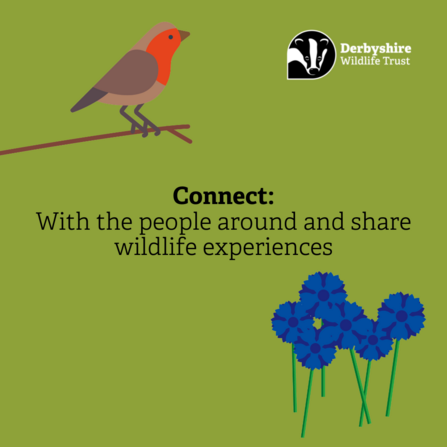 With the people around you, share your wildlife experiences 