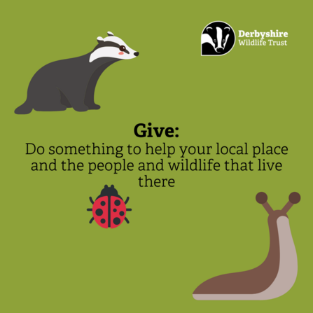 Take care of nature however you can