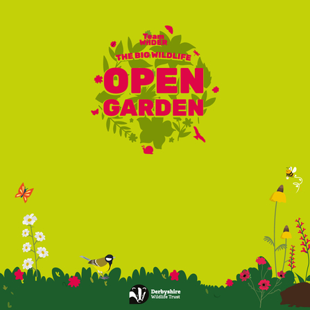 An Open Garden branded template to be used for social posts