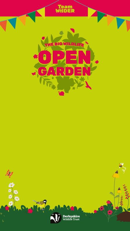 An Open Garden branded template to be used for stories