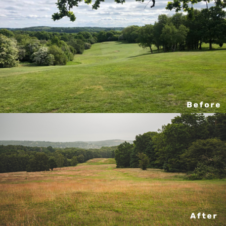 A before and after of allestree park from the fairway viewpoint