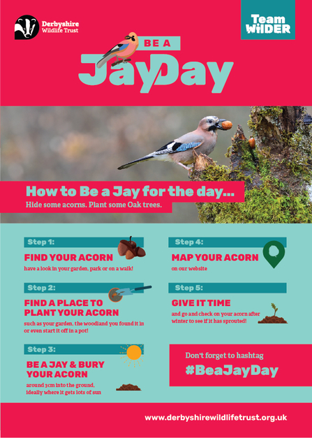 be a jay day poster