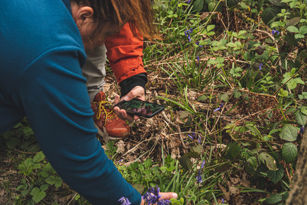 Person in blue jumper looking at purple flowers