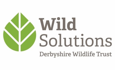 wild solutions logo
