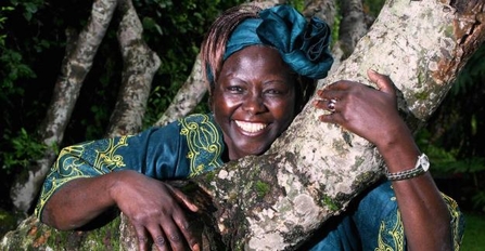 professor wangari maathai hugging the branch of a tree