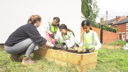 Children planting