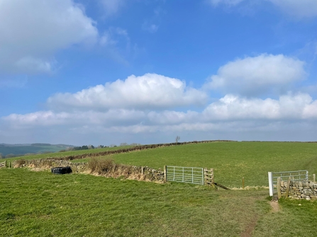 fields with hedgerows and gates