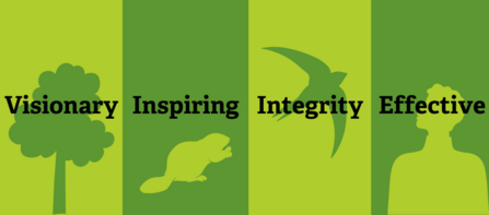 Image displaying the Trusts Values of Visionary, Inspiring, Integrity and Effective