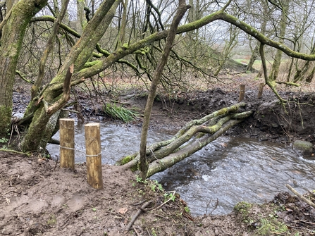 A photograph of wood laying across the River Wye with gaps allowing water to flow through