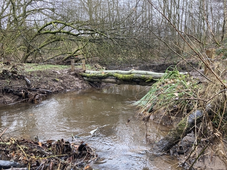 A photograph of wood laying across the River Wye with gaps allowing water to flow through