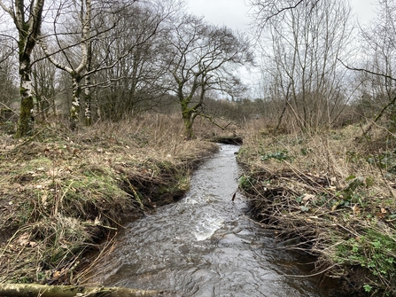 A photograph of the River Wye