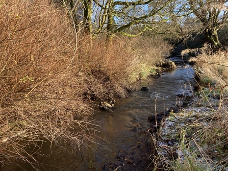 A photograph of the River Wye