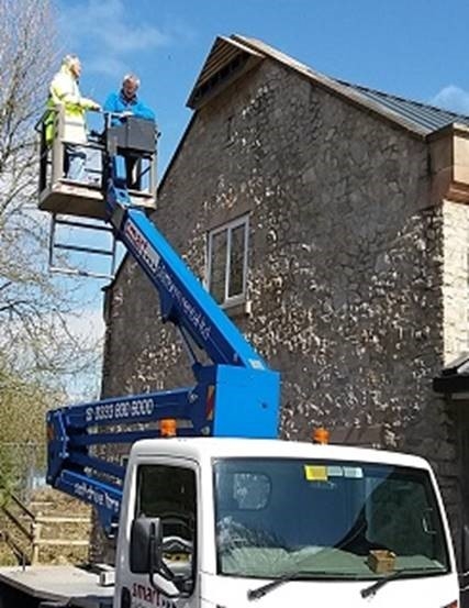 DWT HQ swift nest box