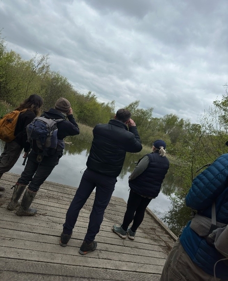 A group of people in walking gear and backpacks stood on a wooden boardwalk using binoculars to look across a body of water into the trees beyond