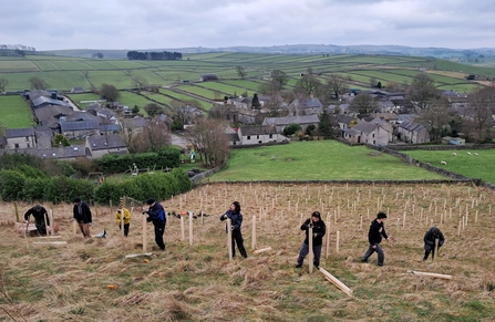 a row of people on a hillside planting trees with fields and a village in the background