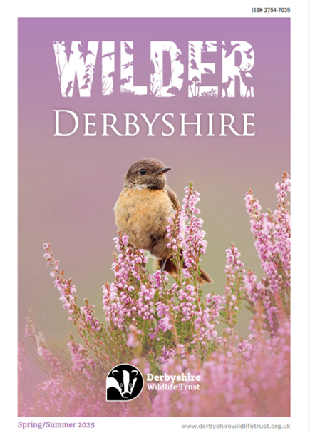 Wilder Derbyshire Magazine