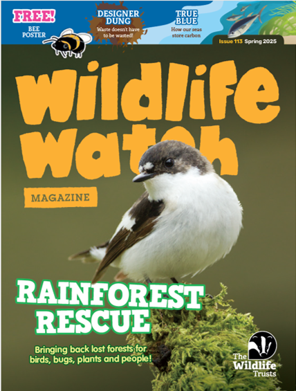 Wildlife Watch Magaine