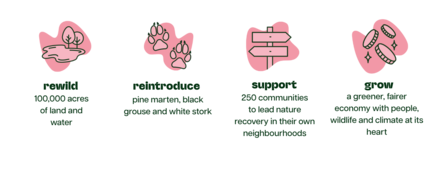 a list of - rewild 100,000 acres of land and water, reintroduce pine marten, black grouse and white stork, support 250 communities to lead nature recovery in their own neighbourhoods, grow a greener, fairer economy with people, wildlife and climate at its heart