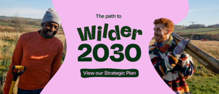 the path to wilder 2030 view our strategic plan