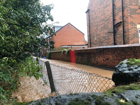 Brook Terrace flooding