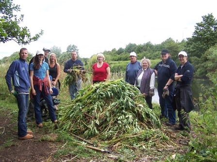 Volunteers standing with all the Himalayan balsam they've pulled