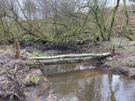 Wye Leaky Dam made of trees