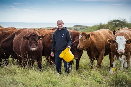 A farmer surrounded by cows