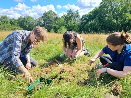 Children sat in the grass planting at Allestree Park in the sunshine
